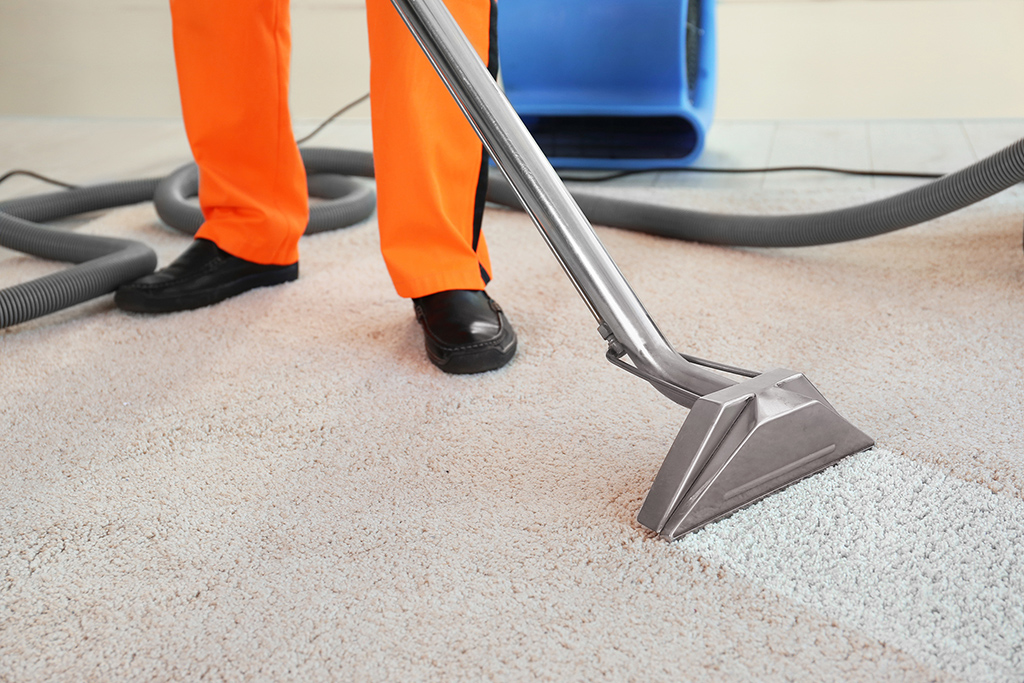 Lower Mainland Carpet Cleaning Services